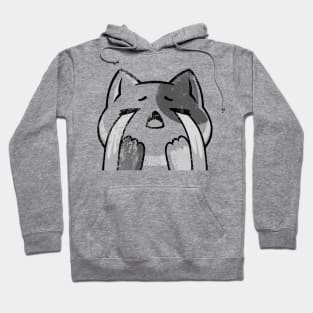 Crying cat Hoodie